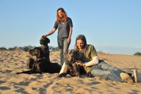 /album/fotogalerie-unsere-blauen-edeldoggen1/doggenfamilie-3-jpg1/